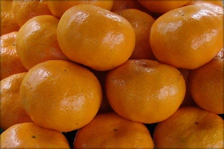 Pareci